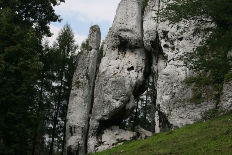 Jura Krakowsko-Częstochowska, autor Górka Jerzy 