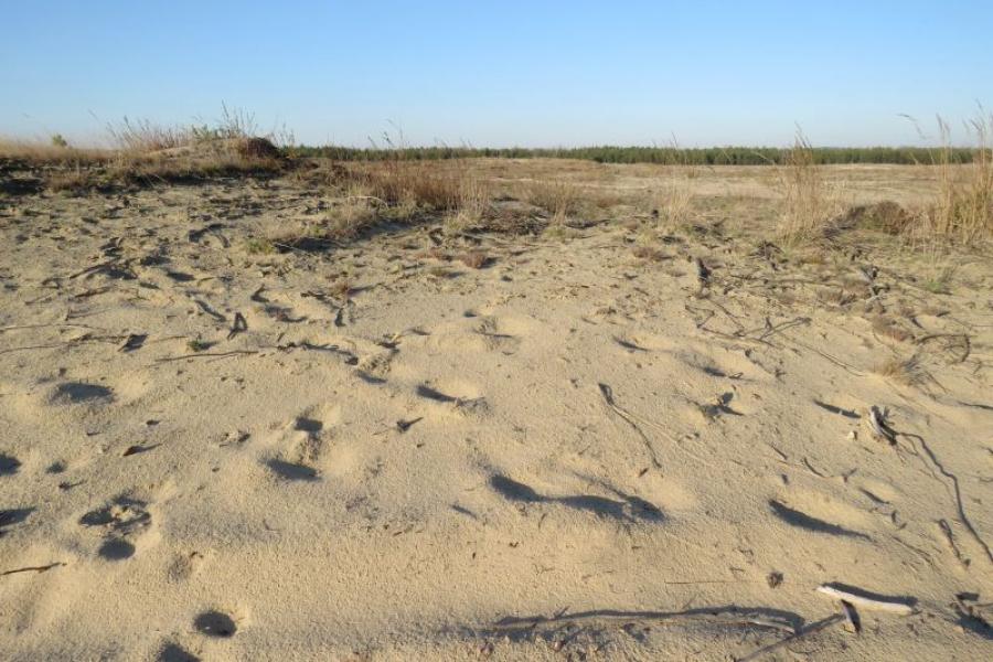 Jura Krakowsko-Częstochowska, autor Górka Jerzy 